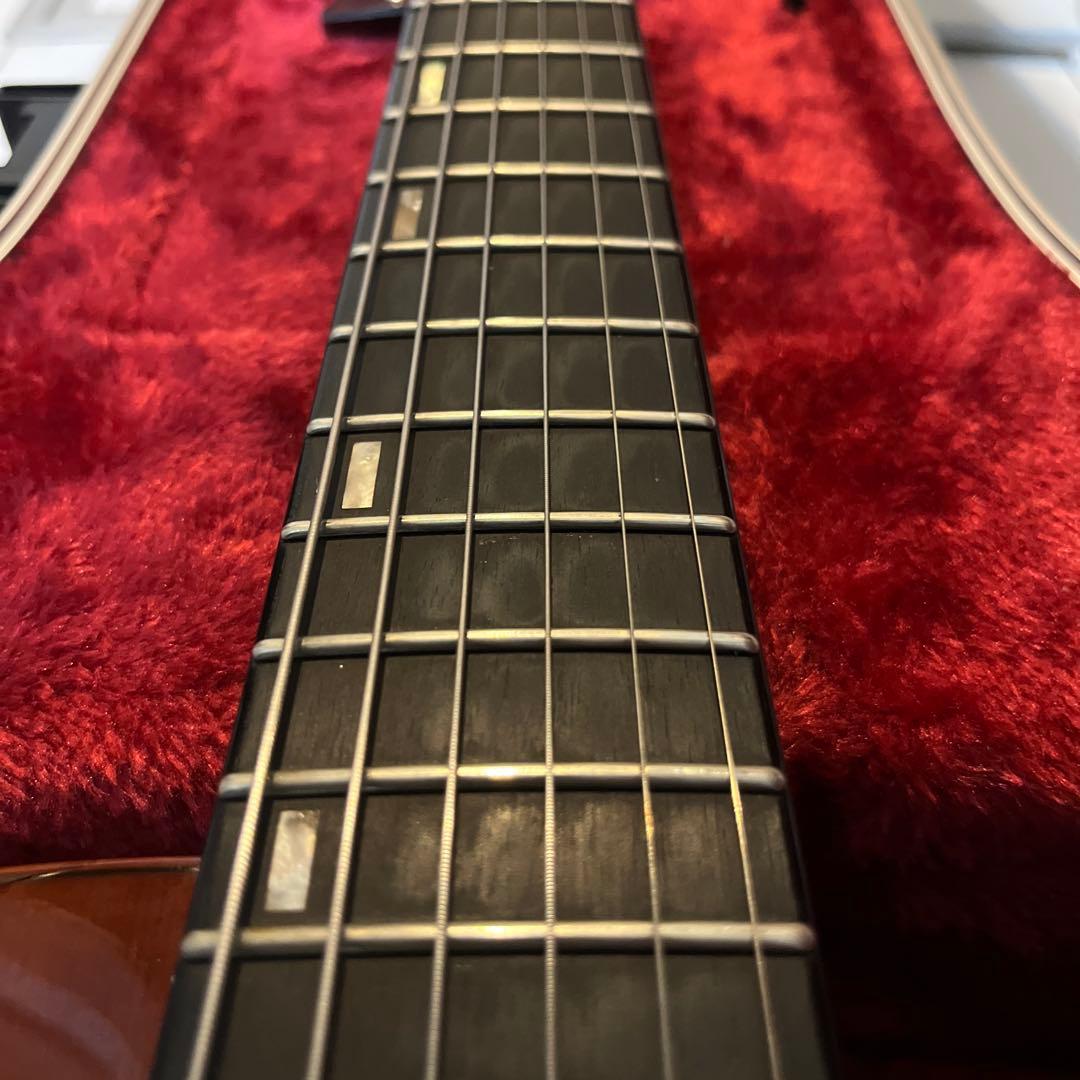 【良コスパ】Ibanez フルアコ AFC-151