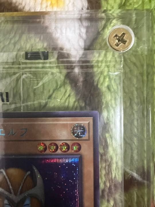 遊戯王　ホーリーエルフ　ブルシク　5つ目　良座標