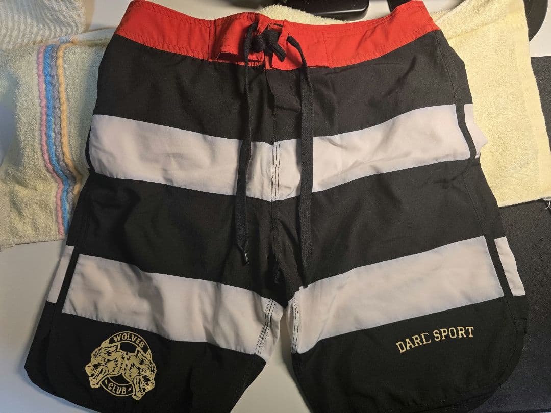 DARC SPORT サイズ30 フィジーク サーフパンツ