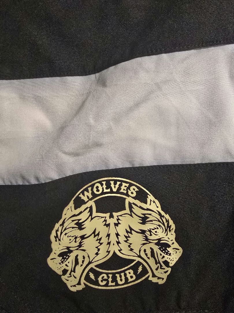 DARC SPORT サイズ30 フィジーク サーフパンツ