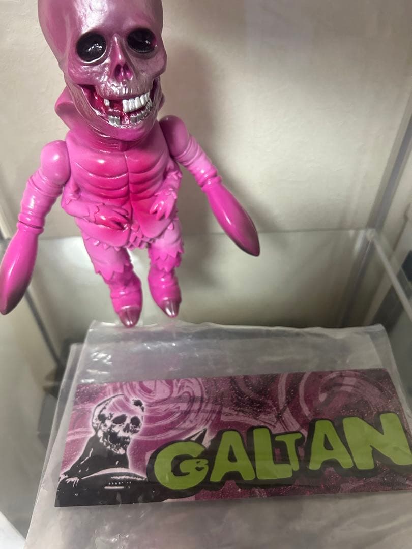 【美品】GALTAN Adore x ZOLLMEN ガルタン ゾルメン