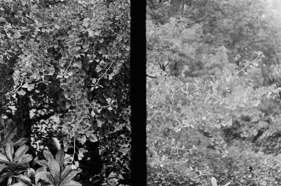 Olympus Pen-F フィルム一眼レフカメラ（38mmレンズ付き）