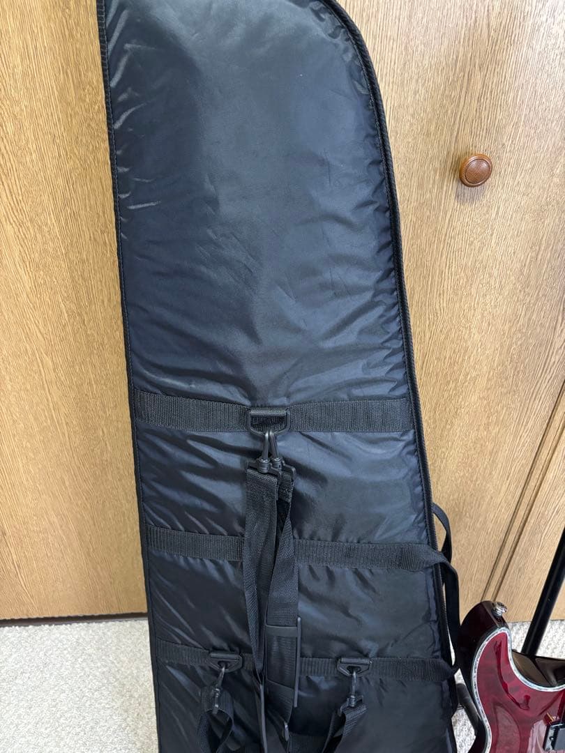 Schecter HELLRAISER AD-C-1-FR-HR BCH美品