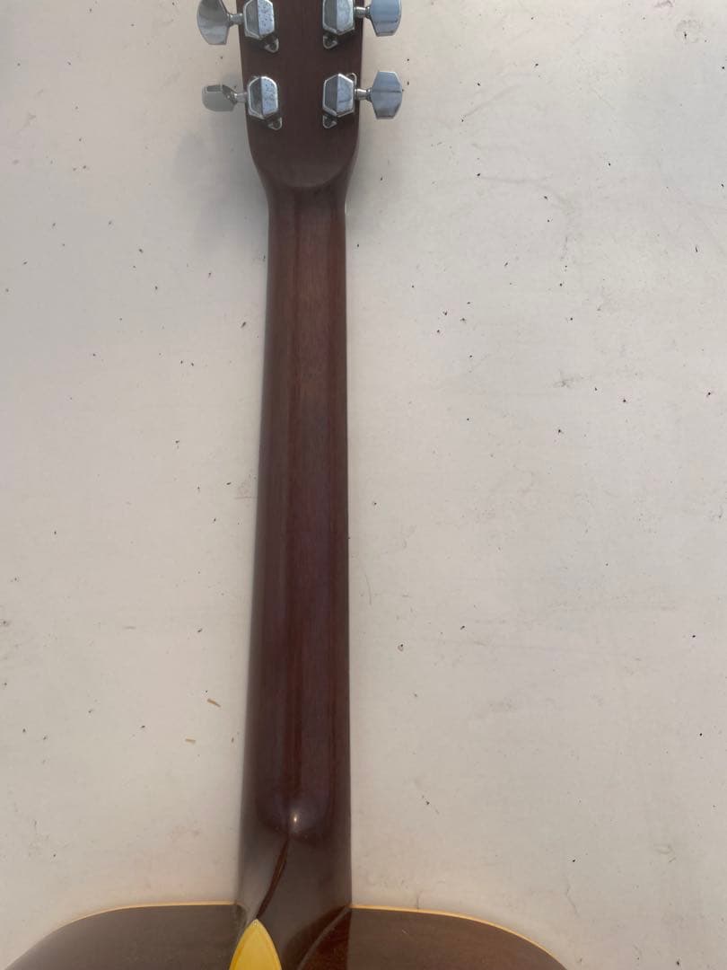 Morris W-20ギター