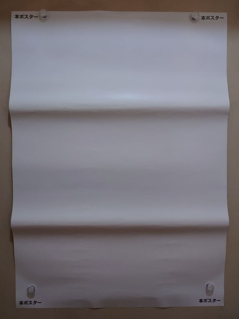 【未使用品】劇場版　ポケットモンスター　ダイヤモンド&パール　劇場用　ポスター