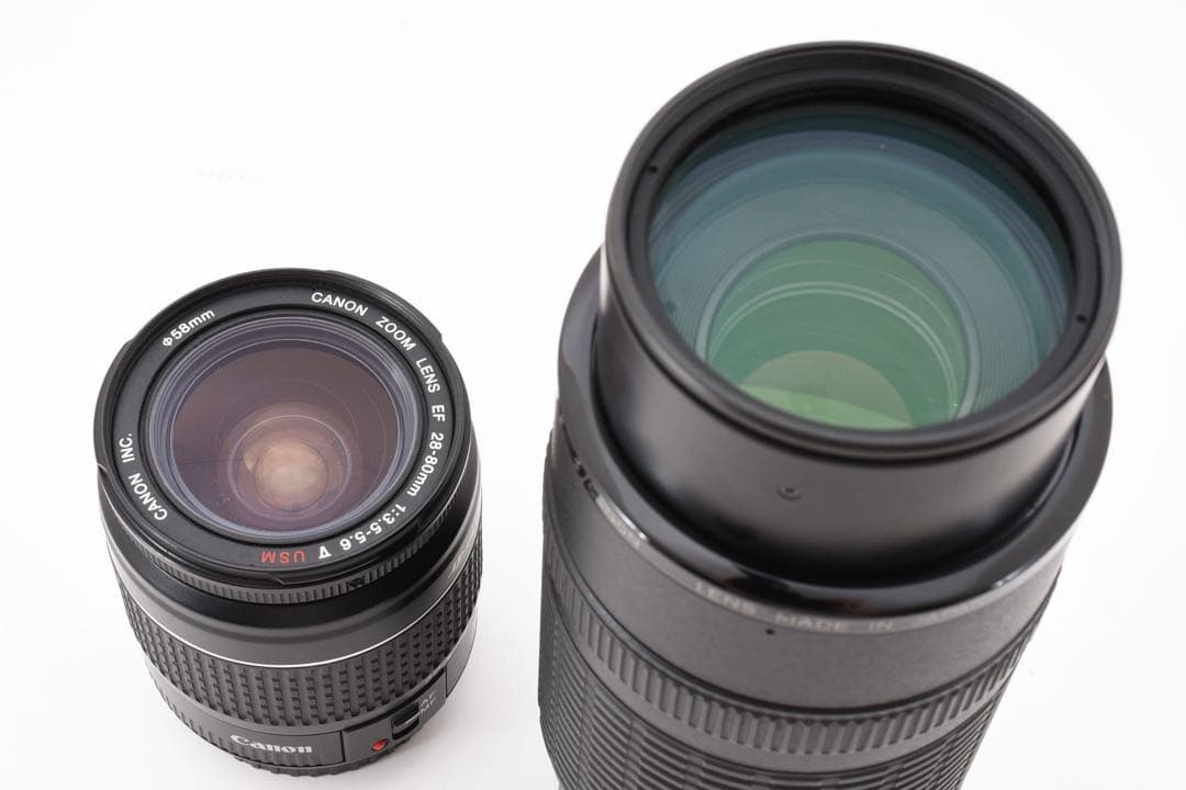 一眼レフカメラCanon EOS 5D MarkIII標準&望遠レンズセット