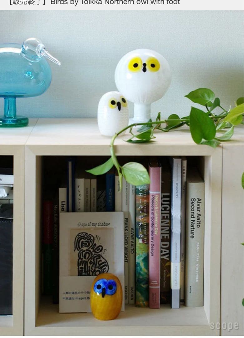 Northernowlwithfoot scope別注　オイバトイッカ