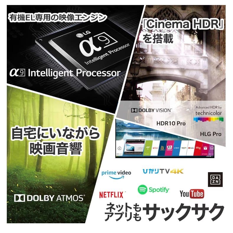 LG 65V型 有機EL テレビ 4K 2019年製 ドルビービジョン対応