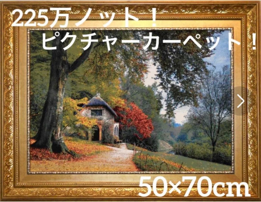 225万ノット！ピクチャーカーペット 額縁付き！50×70cm-190301