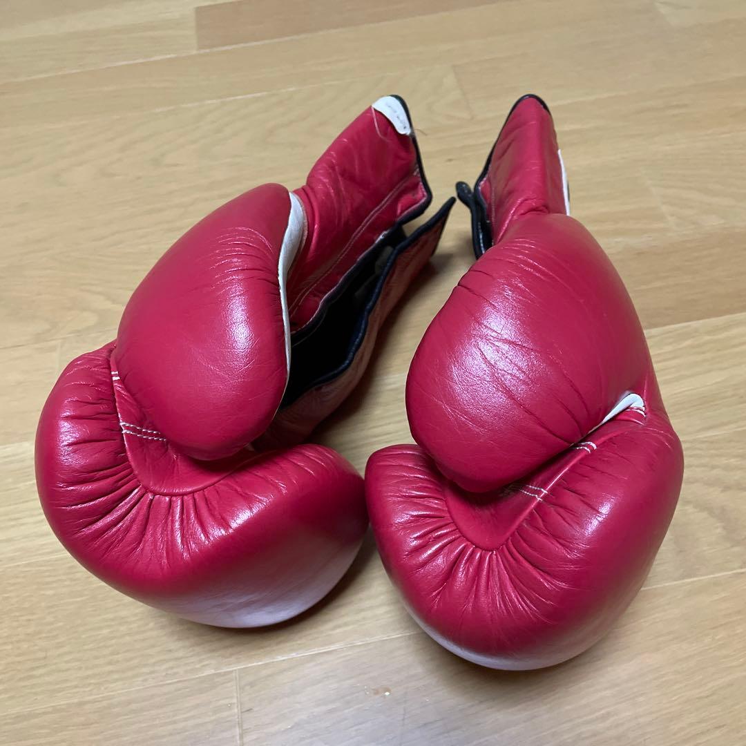 レイジェスボクシンググローブ　10オンス　旧式