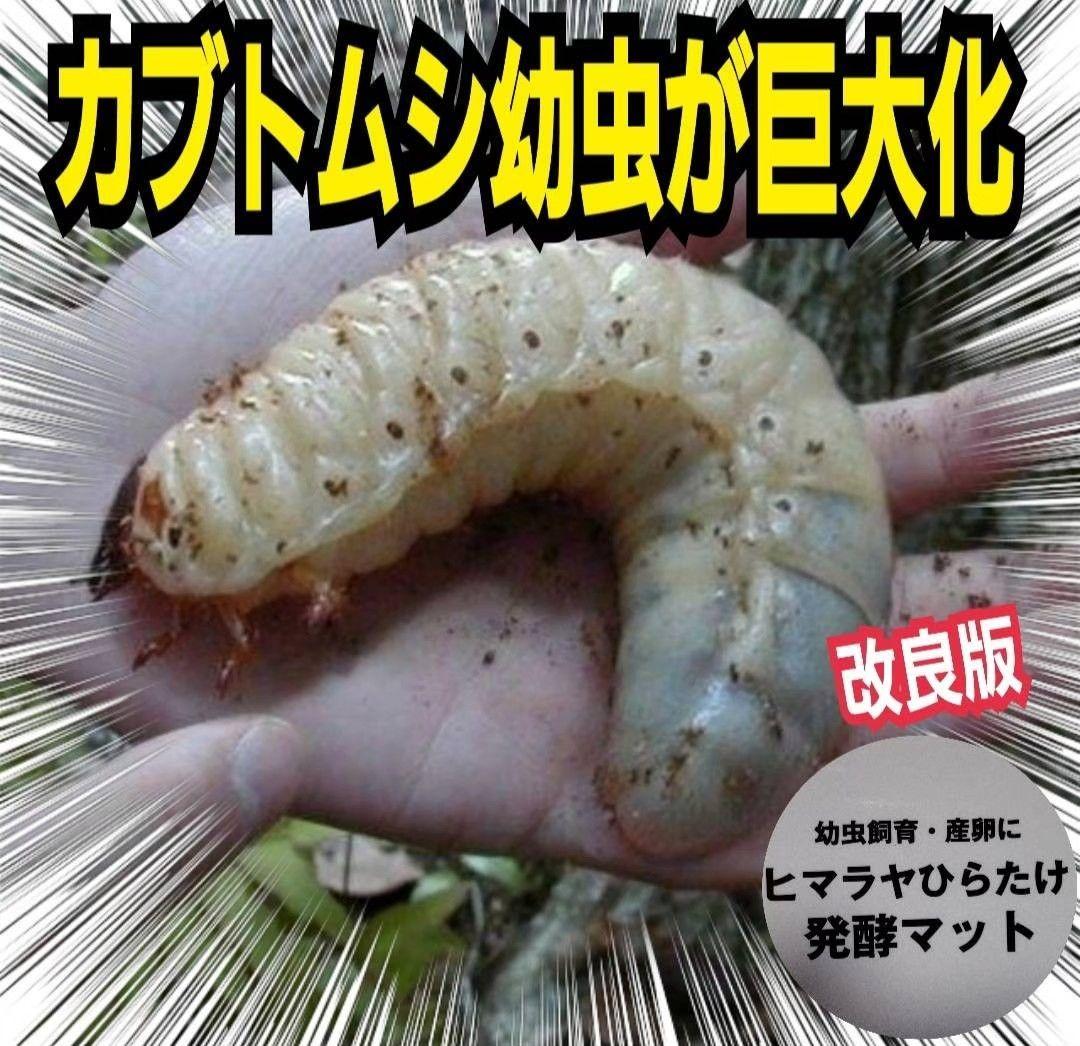 カブトムシ幼虫が大きくなる！栄養価抜群の発酵マット【60リットル】チャック付袋