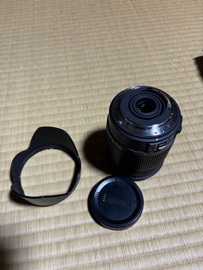 レンズ(ズーム) sigma 18-250mm F3.5-6.3DC OSHSM