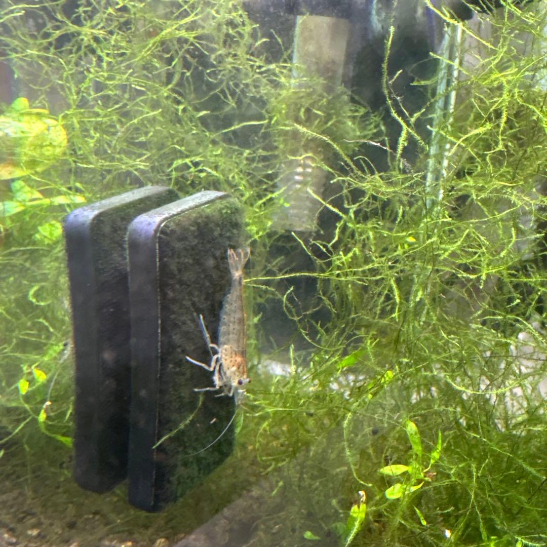 水槽フルセット　引き取り限定