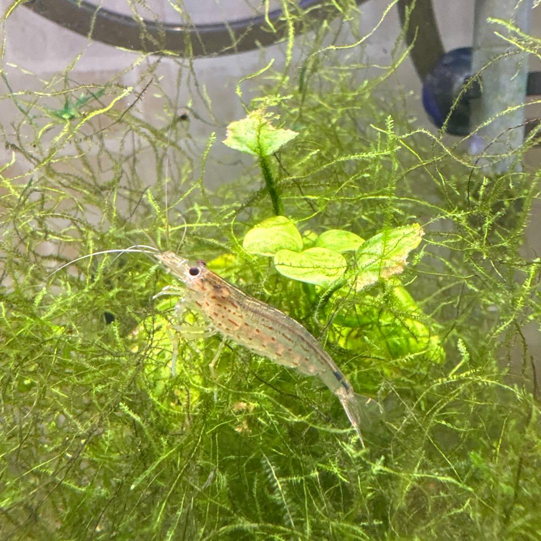 水槽フルセット　引き取り限定