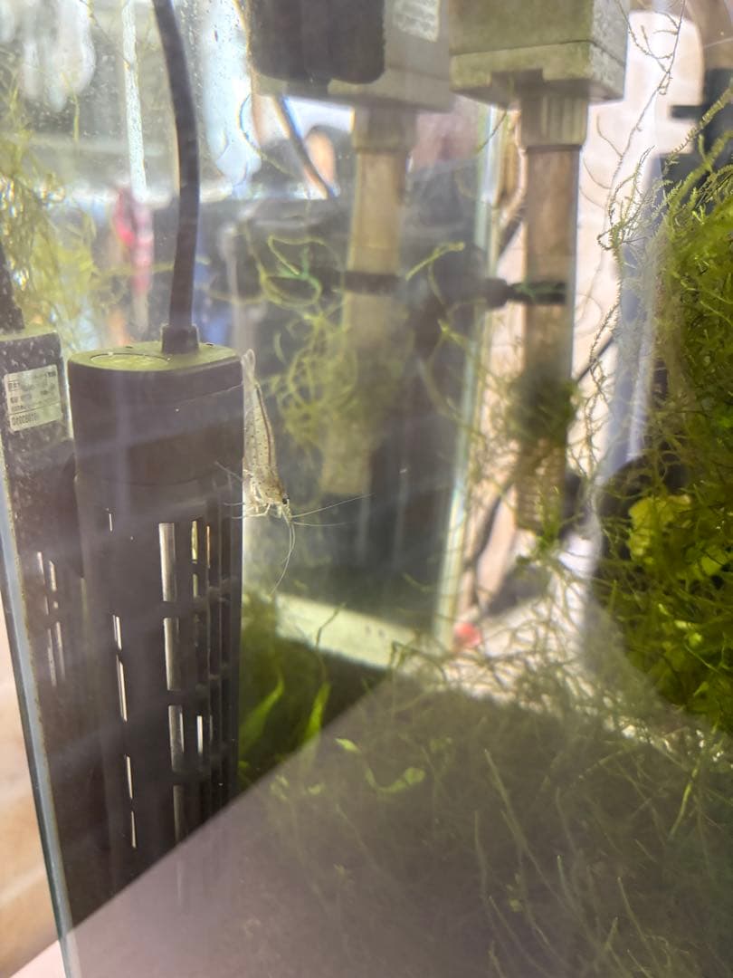 水槽フルセット　引き取り限定