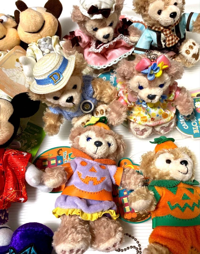 東京ディズニーリゾート　ぬいば　ぬいぐるみバッジ（41体）当時物　レア