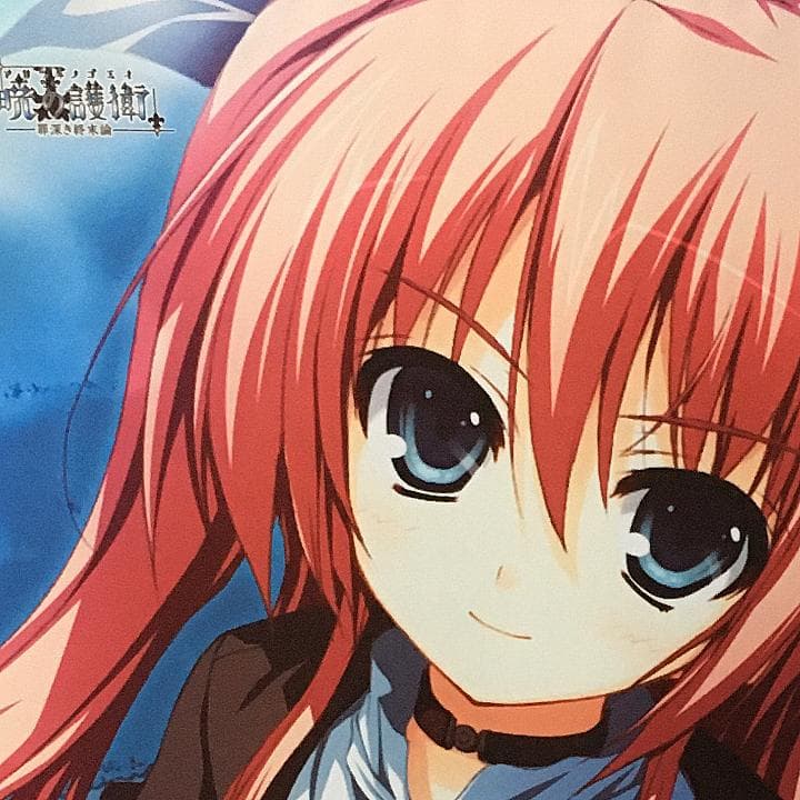 暁の護衛 二階堂麗華 タペストリー 9本セット 【稀少品】