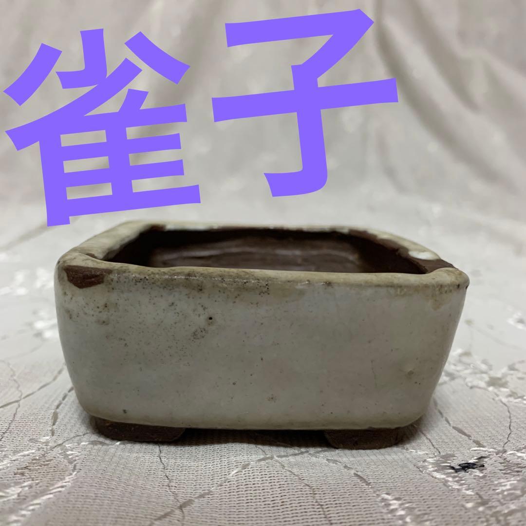 雀子　正方　盆栽鉢