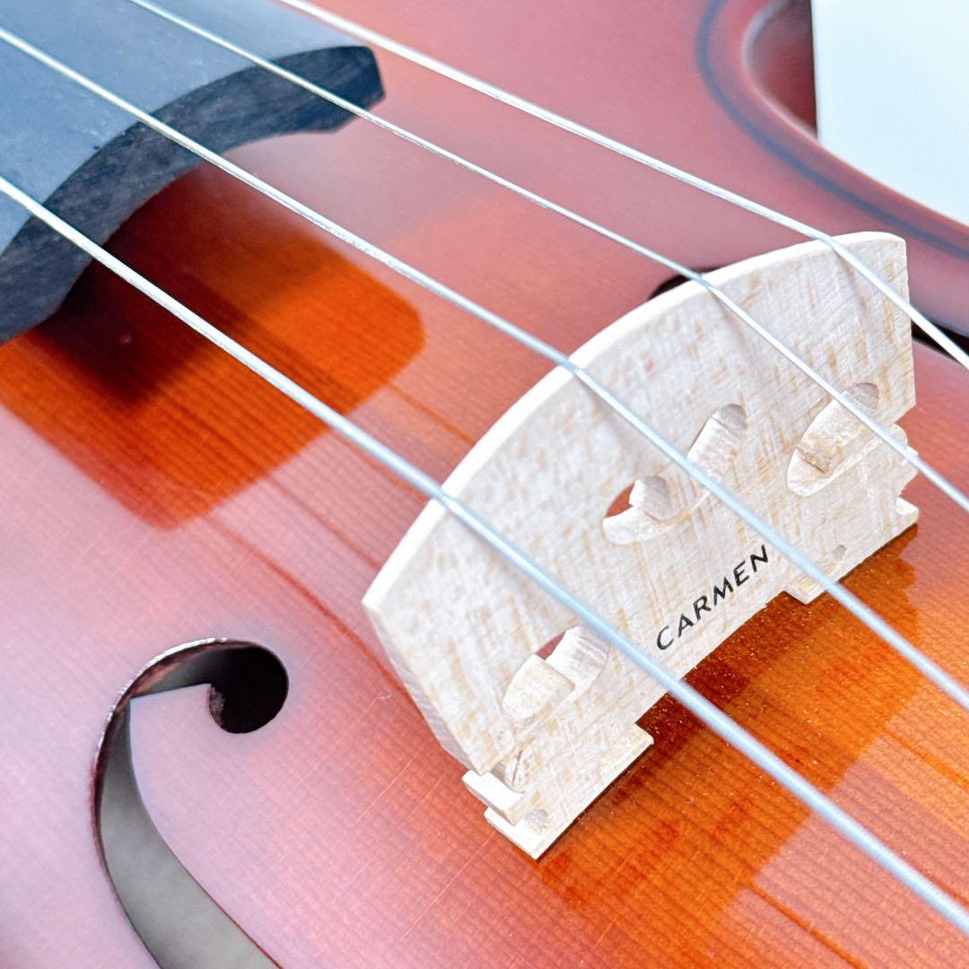 カルロ・ジョルダーノ ヴァイオリン VL-216