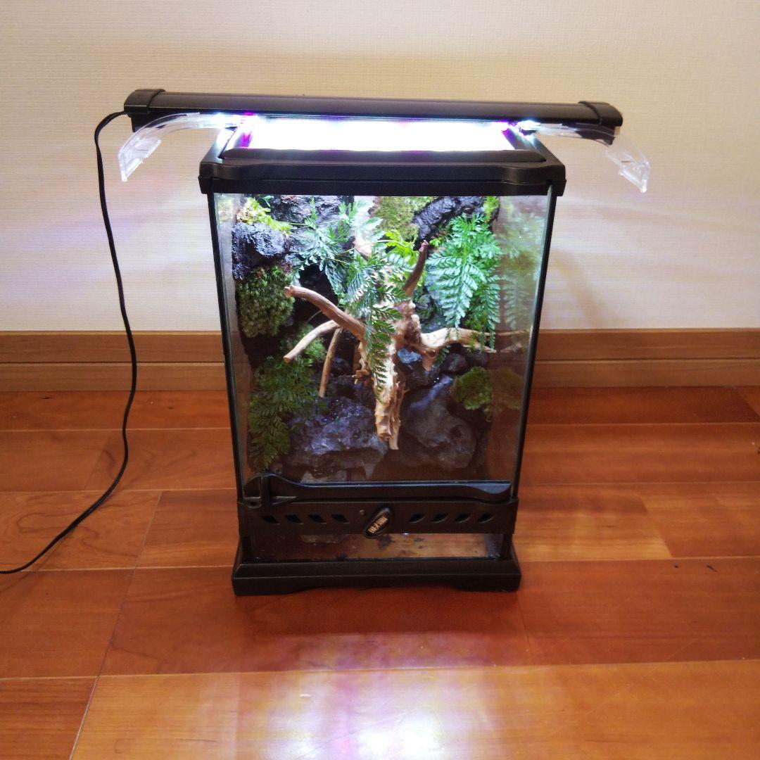 【受注生産】滝の流れるアクアテラリウム　テラリウム　苔　イモリウム