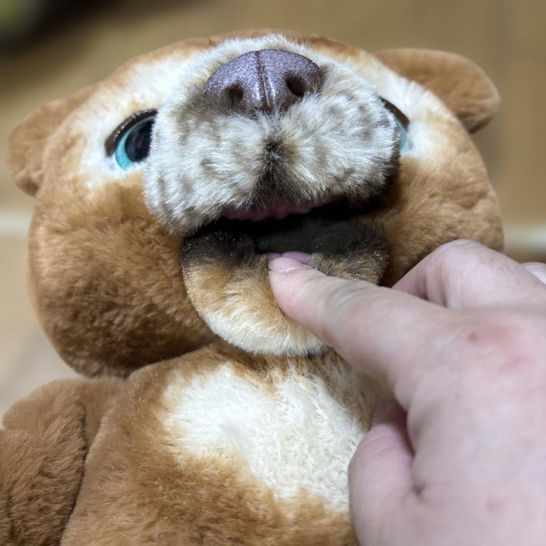 【廃盤品】レア ファーリアル 遊ぶのだいすき こぐまのカビー 動作確認済