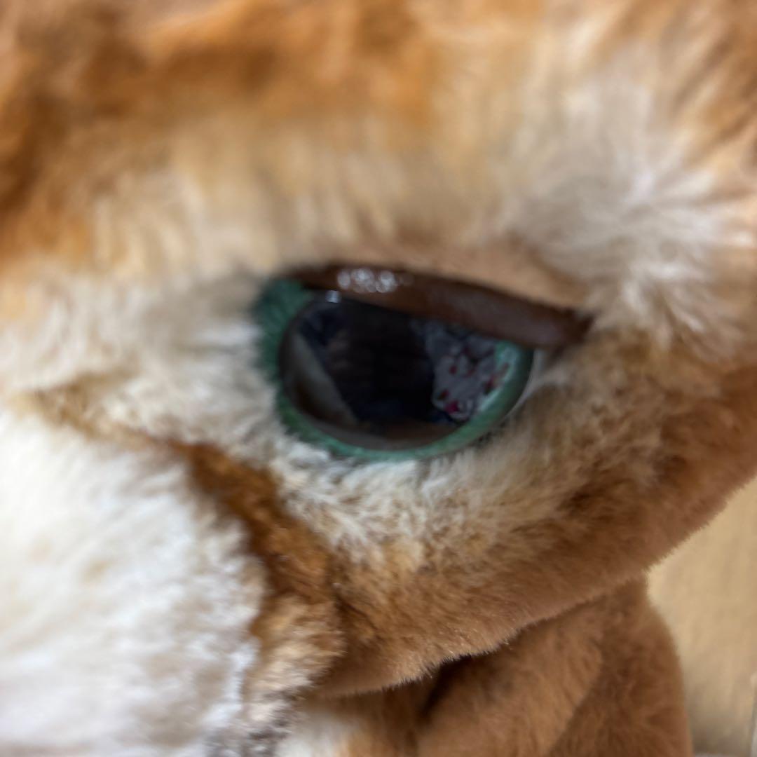 【廃盤品】レア ファーリアル 遊ぶのだいすき こぐまのカビー 動作確認済