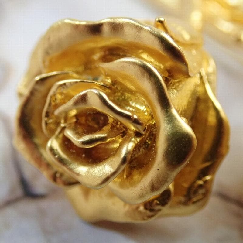 Patrick Q 様RU-6046 KENZO ケンゾーバラ　20250617