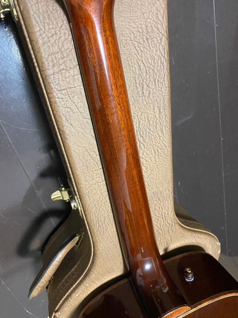 アコースティックギター　w.carter