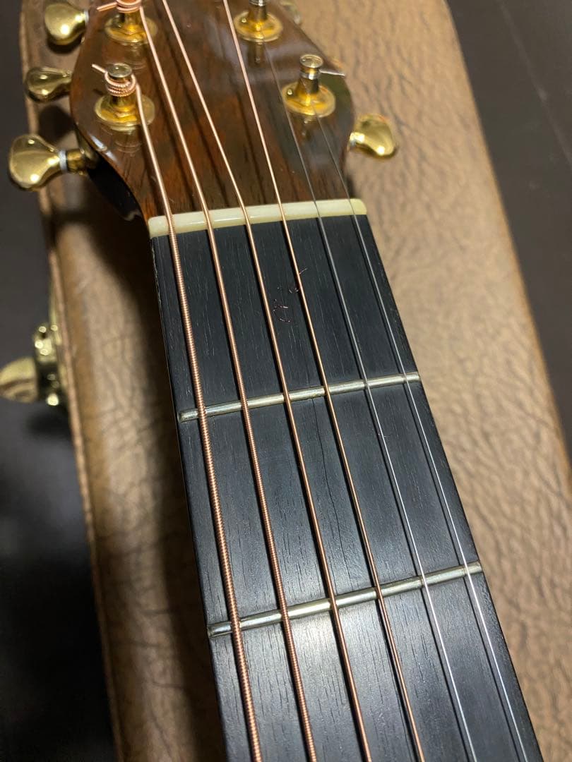 アコースティックギター　w.carter