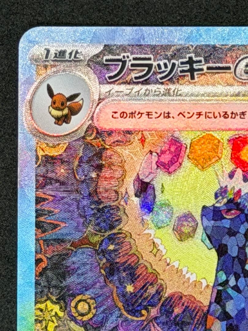 テラスタルフェスex ブラッキーex sar