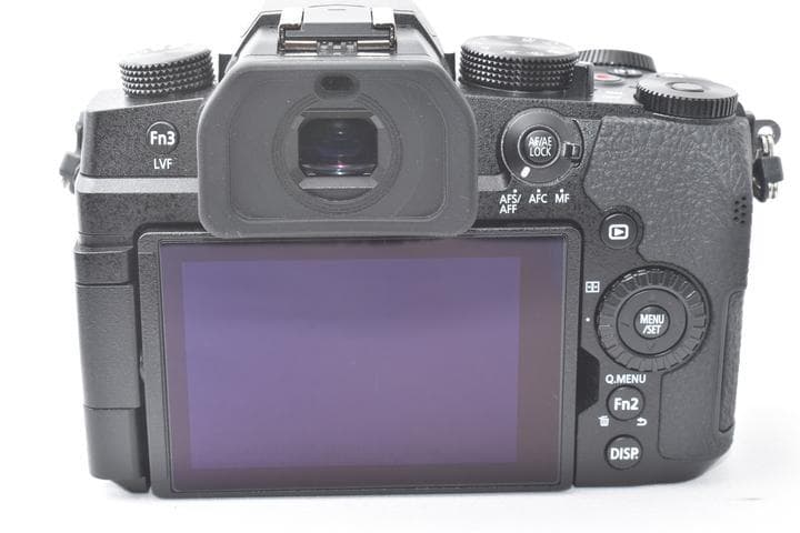 【美品】Panasonic LUMIX DC-G99 ボディ