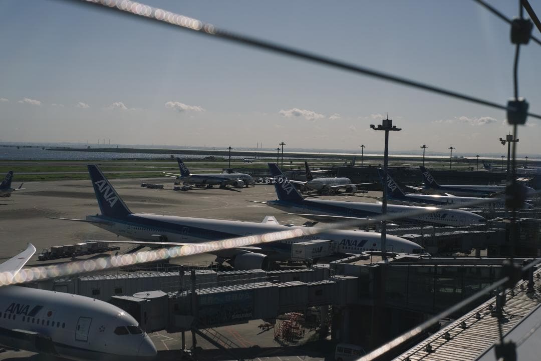 美品！赤エルマー！Red Scale Elmar 50mm オールドレンズ