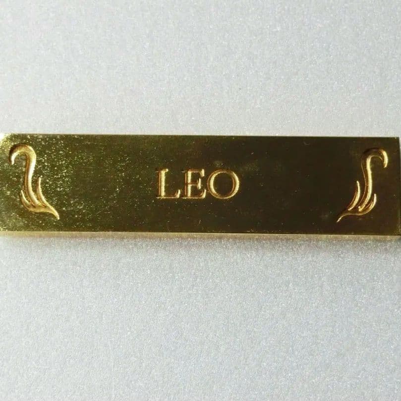 聖闘士星矢 レオ アイオリア 黄金聖衣箱 獅子座 黄金聖衣 ゴールドクロス