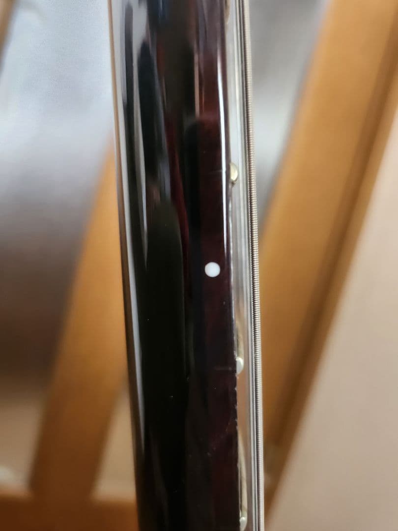 ギター PRS Custom SE 24