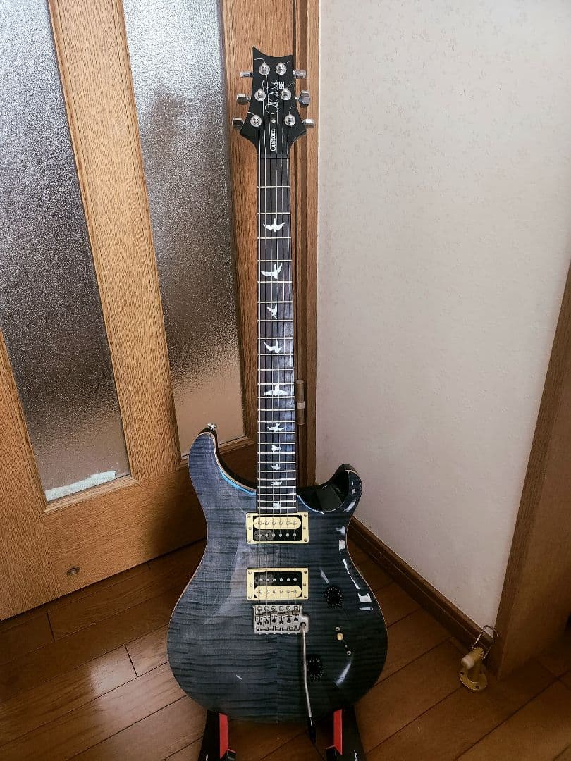 ギター PRS Custom SE 24