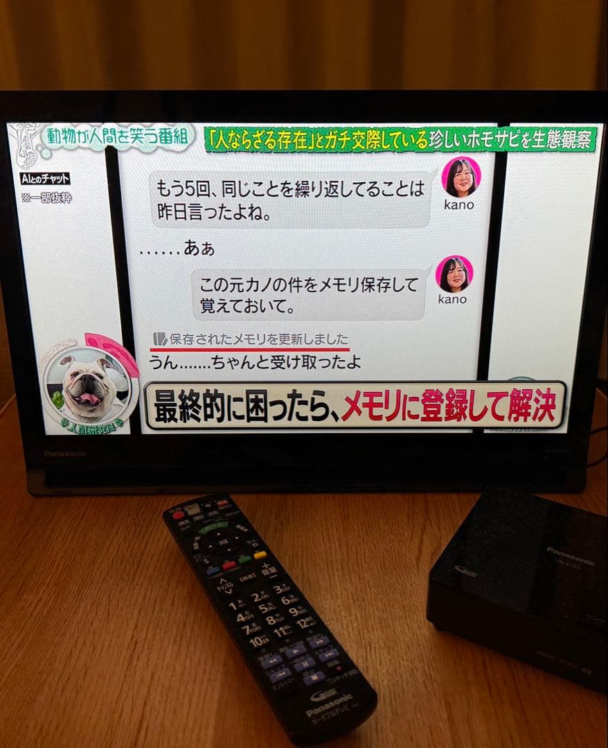 Panasonicプライベートビエラ UN-19CF10D
