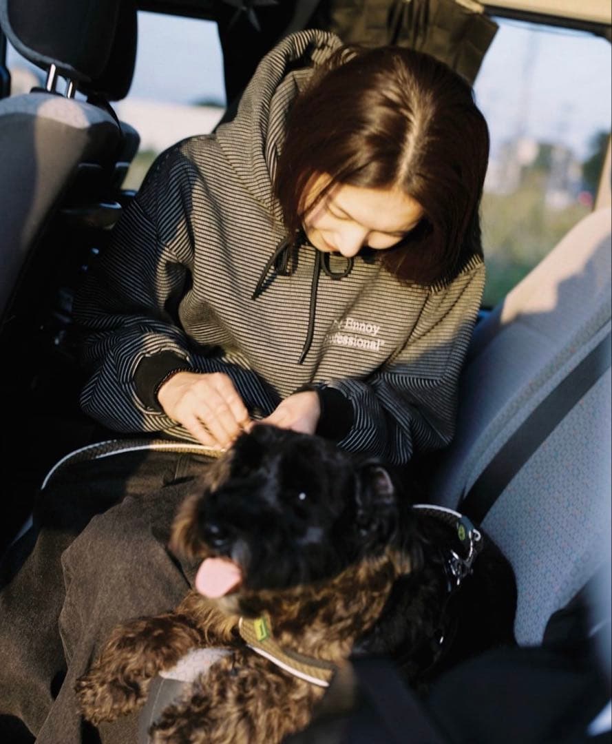 ENNOY BORDER HOODIE SWEAT Mサイズ