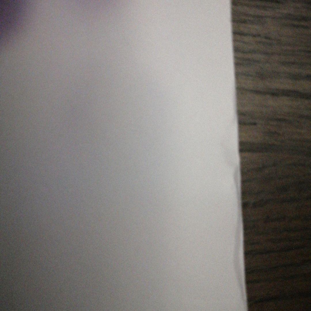 劇場版 空の境界 未来福音 B1ポスター