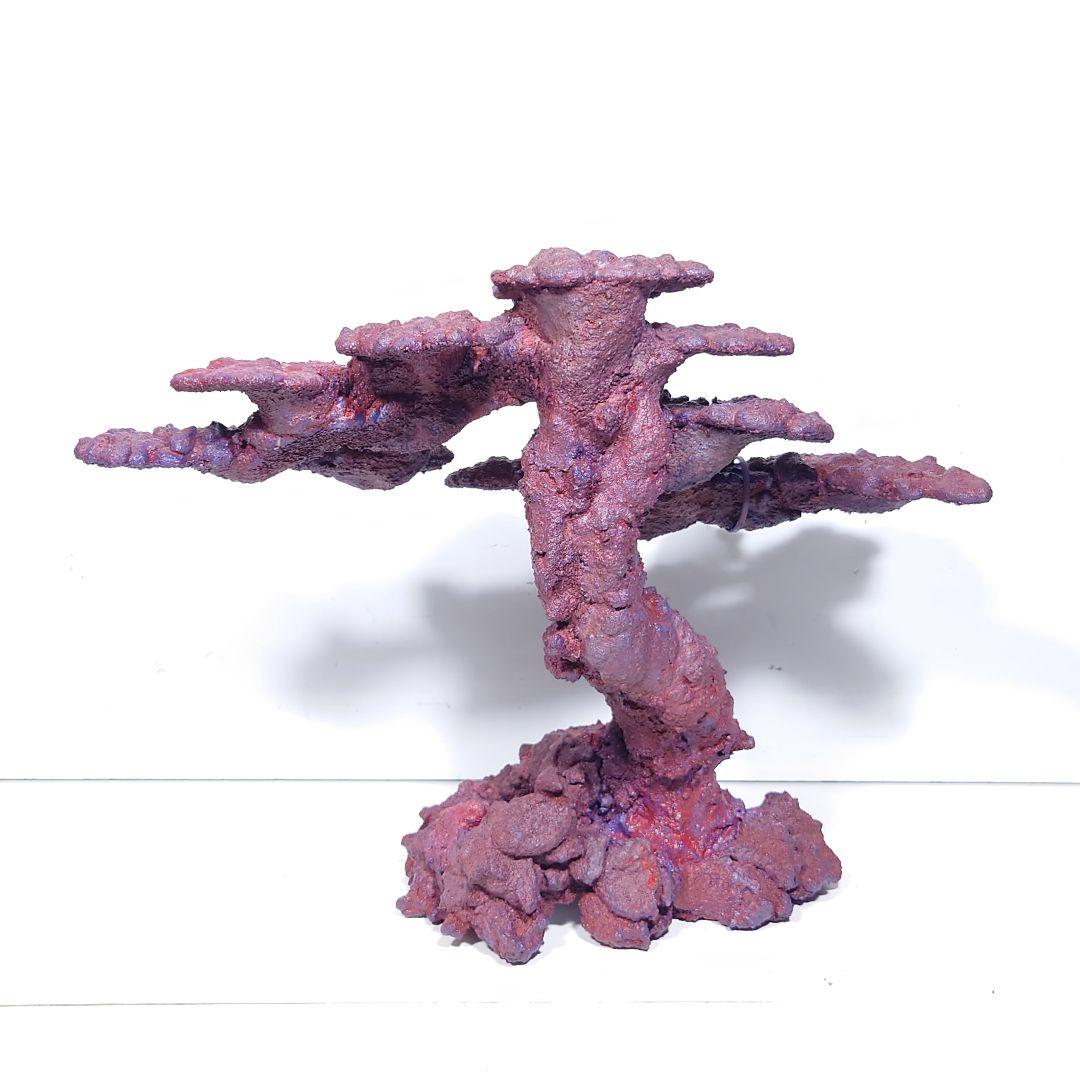 人工ライブロック《ZN-008》