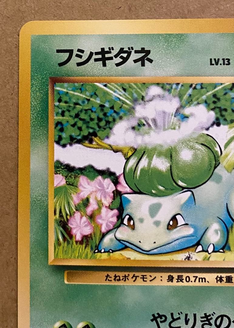 フシギダネ 旧裏 No.001 ポケットモンスターカードゲーム 再販 1996