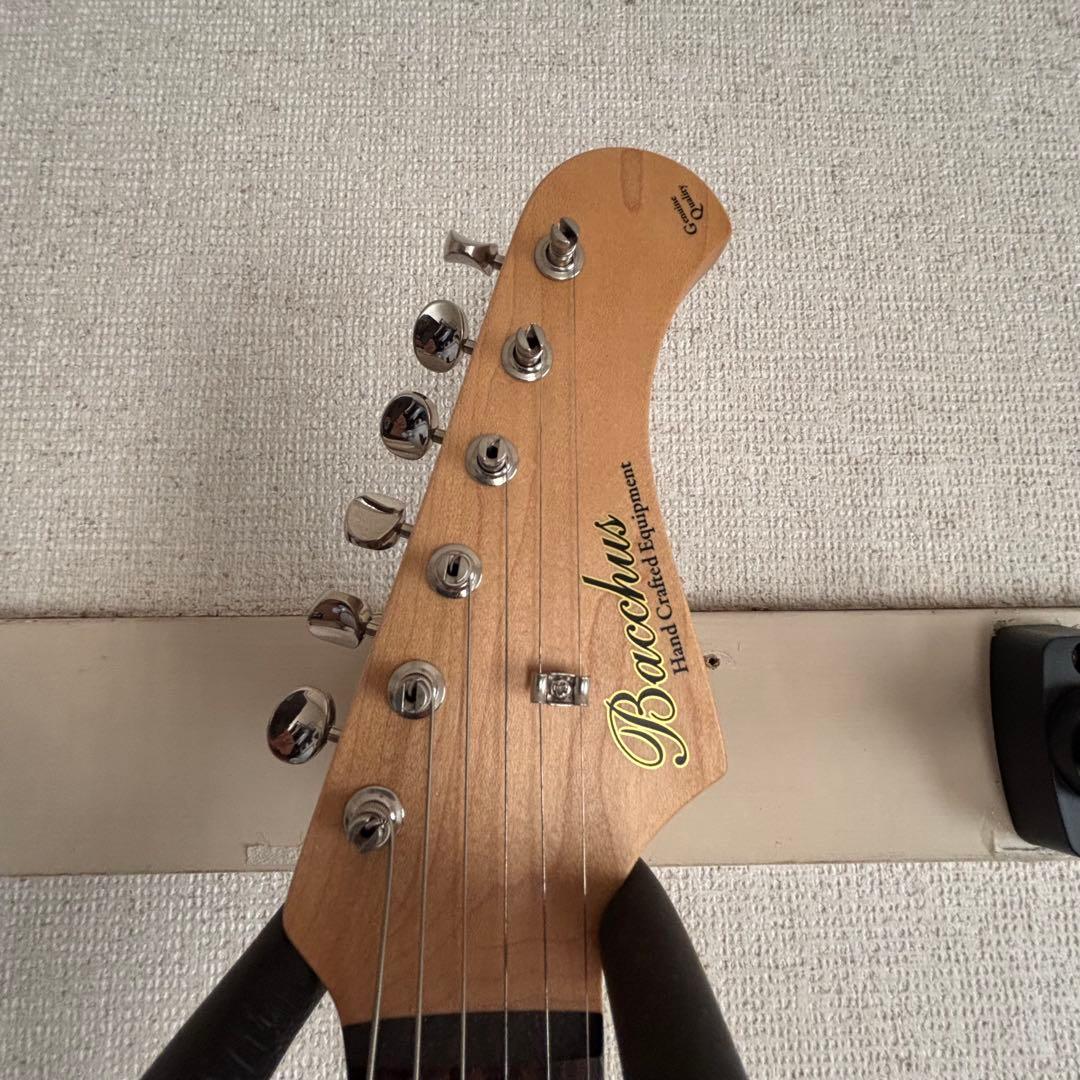 さ*こ様 Bacchas グローバルシリーズ　BST-500G CAR