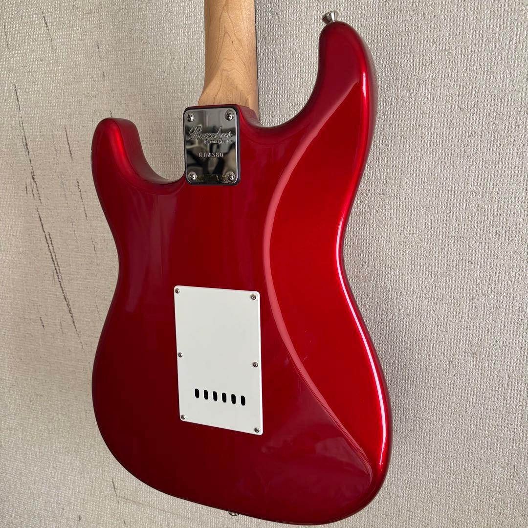 さ*こ様 Bacchas グローバルシリーズ　BST-500G CAR