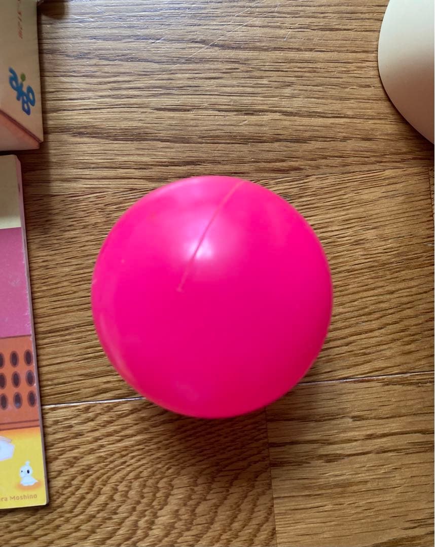 AIBOアイボ★ラッテ★中古ジャンク★箱・取扱説明書&ラッテマカロンと暮らす本付