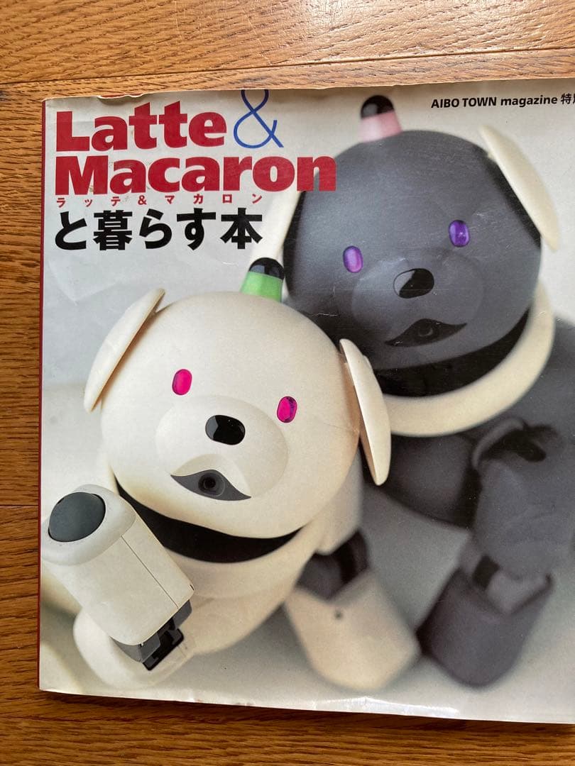 AIBOアイボ★ラッテ★中古ジャンク★箱・取扱説明書&ラッテマカロンと暮らす本付