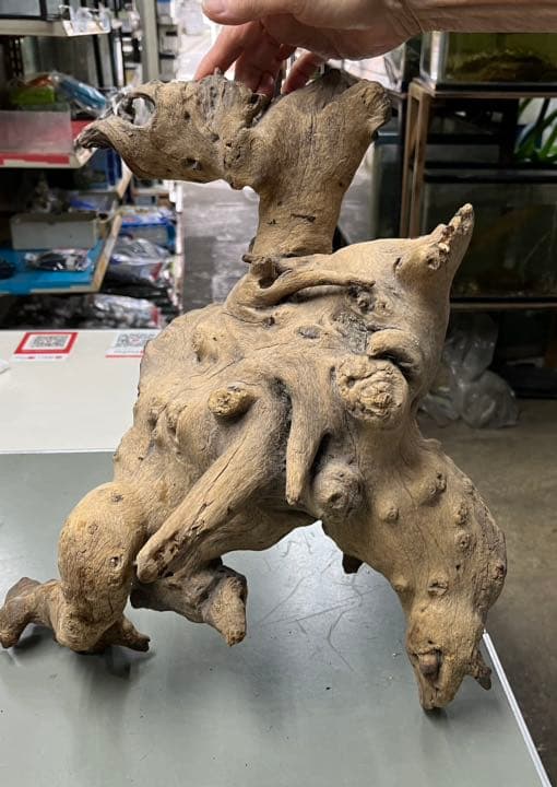 サバンナウッド　水槽インテリア　トカゲ　陸ガメ　爬虫類インテリアに　流木　古木