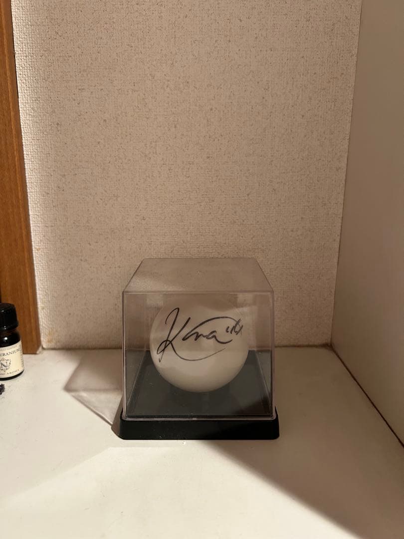 最終値下げ ME:I 佐々木心菜 サインボール