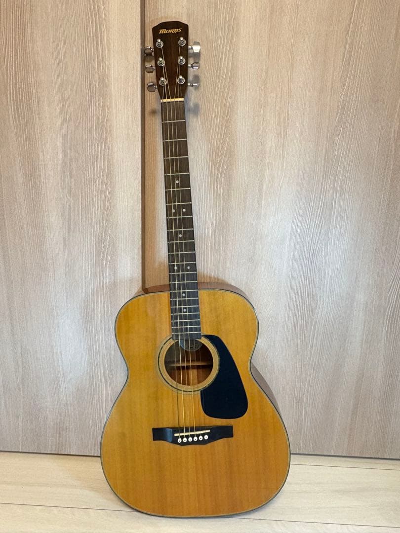 Morris M-66 アコースティックギター