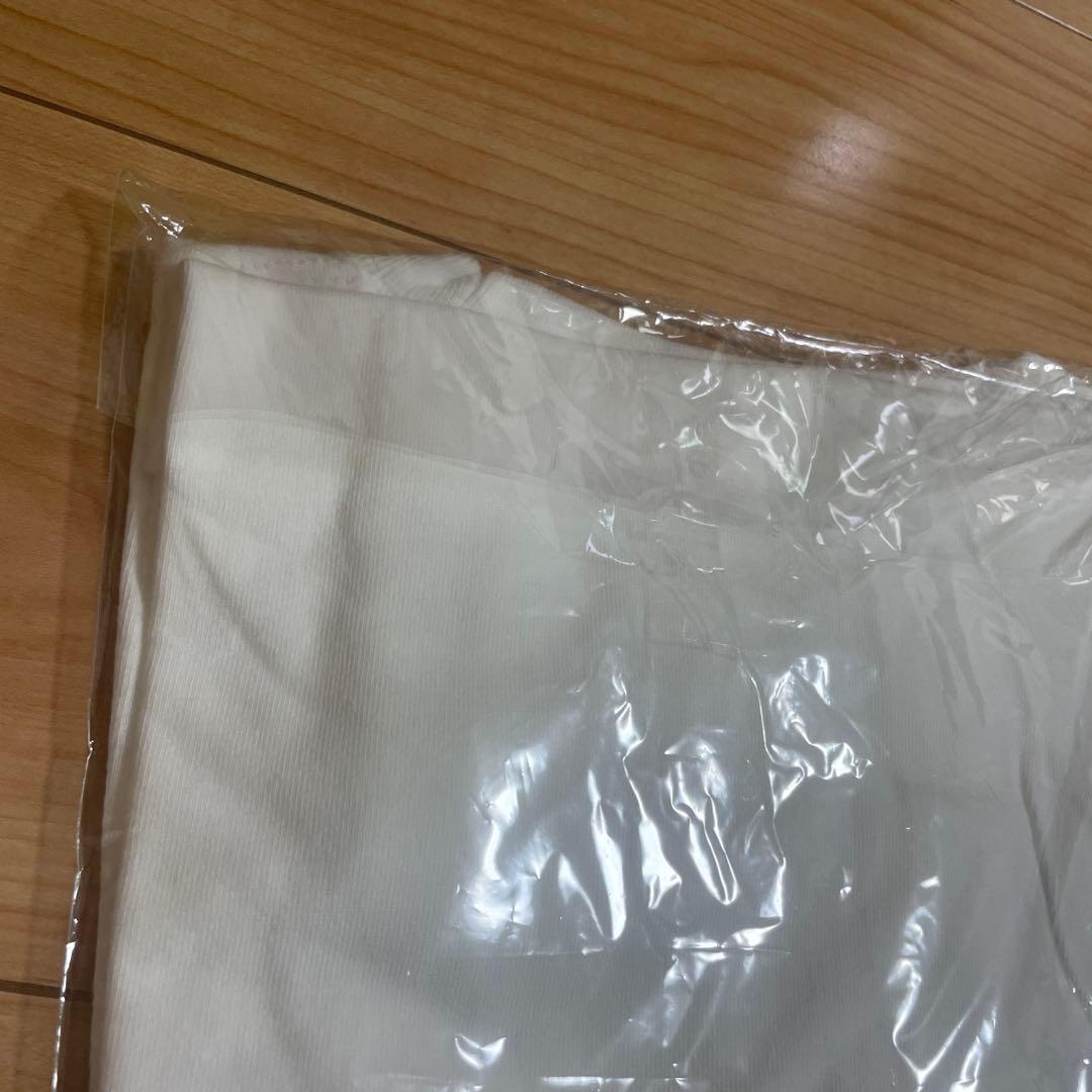 ELLEGARDEN 般若 ホワイト Tシャツ Lサイズ