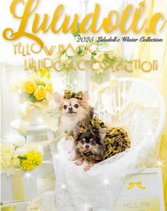 新作　ルルドール　ワンピース　バレッタ付