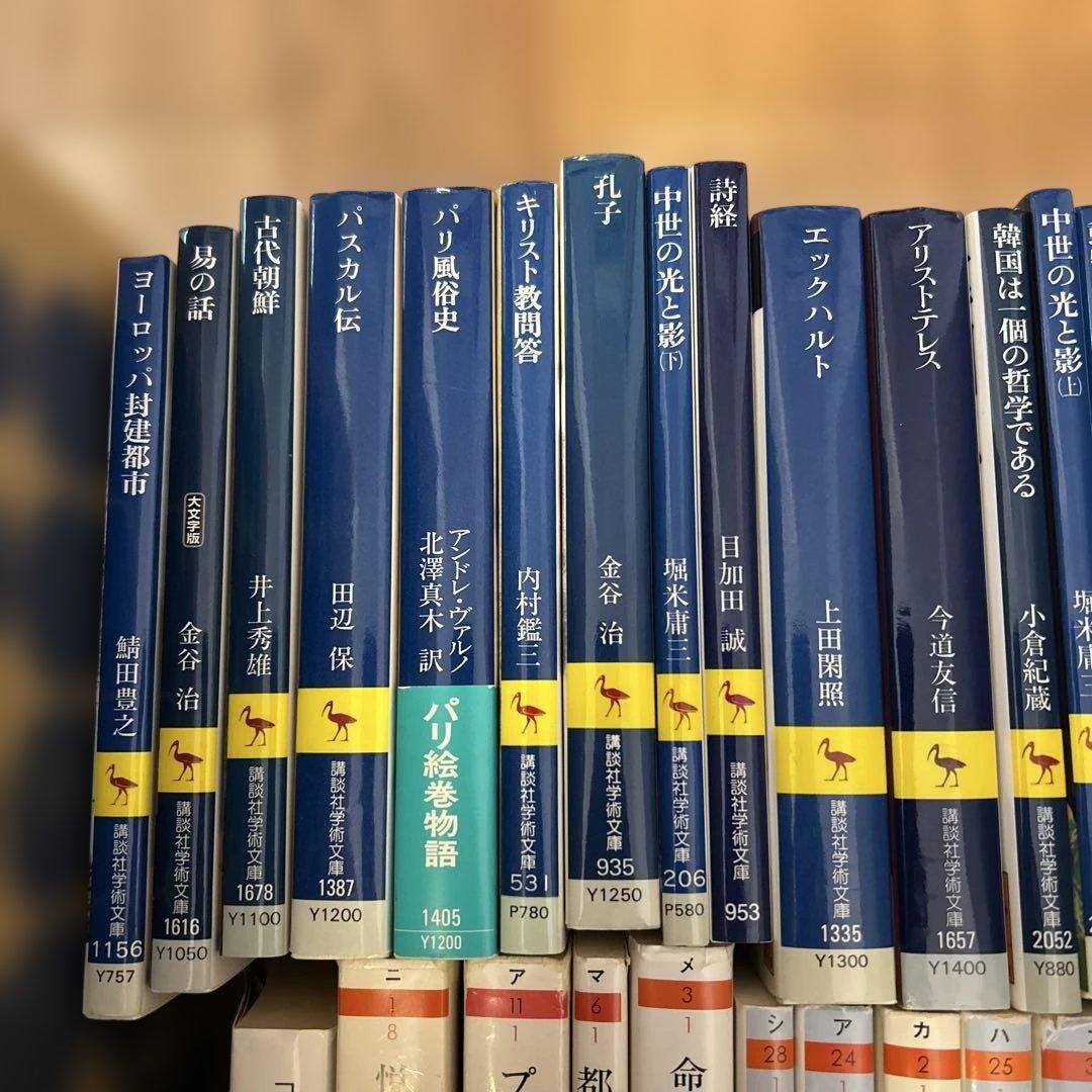 文化人類学入門 岩波新書　まとめ売り